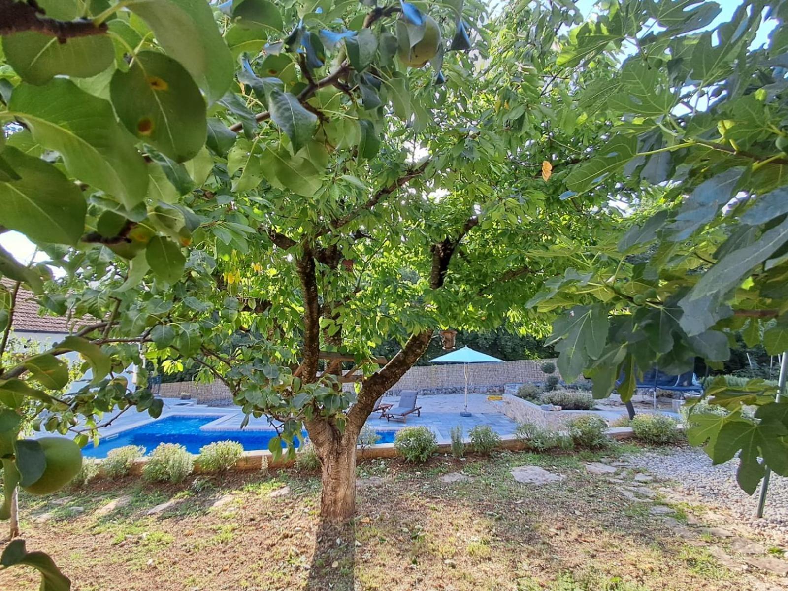 Holiday Home Tone, Makarska - Drum Dış mekan fotoğraf